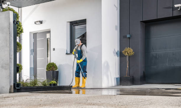 Best Solar Panel Cleaning  in Neoga, IL